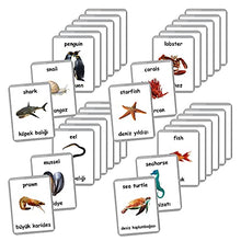 Load image into Gallery viewer, Sea Animals Flash Cards - 26 Laminated Flashcards | Ocean Animals | Water Animals | Homeschool | Multilingual Flash Cards | Bilingual Flashcards - Choose Your Language (Turkish + English)
