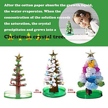 Load image into Gallery viewer, Crystal Growing Kit Magic Growing Christmas Tree Novelty Kit for Kids DIY Crystal Christmas Tree Funny Educational
