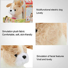 Load image into Gallery viewer, BHDD Interactive Dog Toy, Walking, Wagging Tail, Barking Electric Toy Dog, Cute Simulation Plush Puppy Dog for Kids, Friends, Pets Gifts, etc (Beagle)
