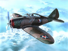 Load image into Gallery viewer, Special Hobby P-35 &#39;War Games and War Training&#39; Buidling Kit
