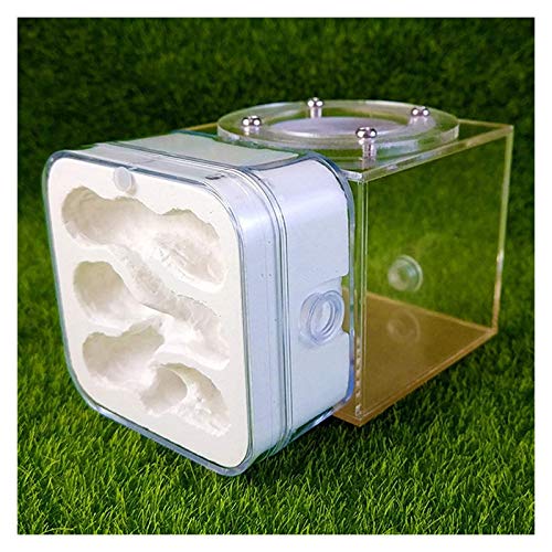 LLNN Insect Villa Acryl Ant Farm DIY Nest, Plaster Ant Workshop Ant Nest Acrylic Ants Farm Kids DIY Educational Toys Pet Ants Insect Cages Children Gifts Festival Birthday Gift (Color : A)