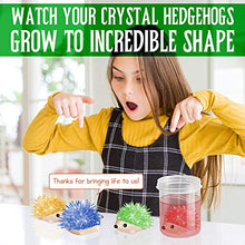 Load image into Gallery viewer, XXTOYS Crystal Growing Kit for Kids - 4 Vibrant Colored Hedgehog to Grow - Gifts for 9 Year Old Girls - Science Kits for Kids Age 6-8 - STEM Gifts for Boys &amp; Girls 8-12 - Craft Stuff Toys for Teens
