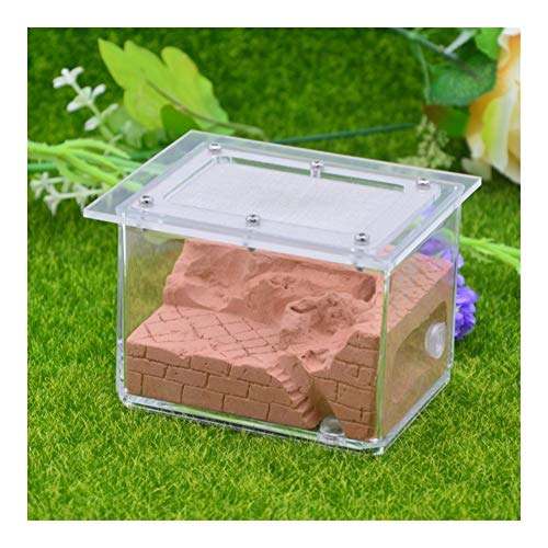 LLNN Insect Villa Acryl Ant Farm DIY Nest, Ant Farm Castle Acryl Box, Great Gift for Kids and Adults, Study of Ant Behavior & Ecosystem 4x3.2x3.2 Inch Festival Birthday Gift (Color : D)