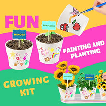 Load image into Gallery viewer, X TOYZ Planting Flower Growing Kit, Kids Gardening Arts &amp; Crafts Set, Garden Project Activity for Girls and Boys 4, 5, 6, 7, 8-12 Year Old, Paint Toy Set Gifts for Kids
