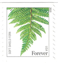 Load image into Gallery viewer, USPS Ferns Forever Stamps - 25 Stamps

