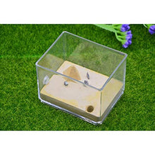 Load image into Gallery viewer, LLNN Insect Villa Acryl Ant Farm DIY Nest, Ant Farm Castle Acryl Box, Great Gift for Kids and Adults, Study of Ant Behavior &amp; Ecosystem 4x3.2x3.2 Inch Festival Birthday Gift (Color : D)
