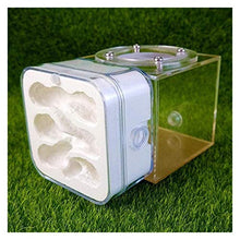 Load image into Gallery viewer, LLNN Insect Villa Acryl Ant Farm DIY Nest, Plaster Ant Nest Acrylic Ants Farm Kids DIY Educational Toys Pet Ants Insect Cages Children Birthday Gifts Festival Birthday Gift (Color : B)

