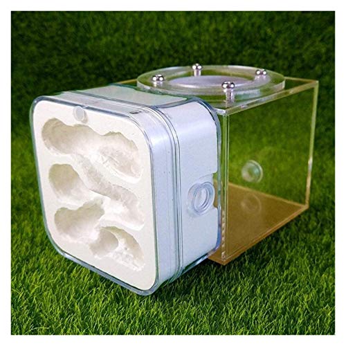 LLNN Insect Villa Acryl Ant Farm DIY Nest, Plaster Ant Nest Acrylic Ants Farm Kids DIY Educational Toys Pet Ants Insect Cages Children Birthday Gifts Festival Birthday Gift (Color : B)