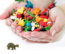 Load image into Gallery viewer, Safari- Animal Turtles, Multicoloured (S100173)
