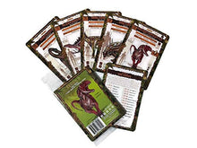 Load image into Gallery viewer, Clade-Gravim Dinosaur Trading Cards for Boys Adults Girls Bundle Series 9 Multi Pack Three 5 Packs of ODD Names
