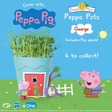 Load image into Gallery viewer, Peppa Pig PP102 Peppa Pots George Pig Kids&#39; Animal &amp; Insect Habitat Kits, Blue, 10.5 x 12 x 15.8 cm
