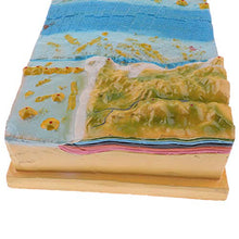 Load image into Gallery viewer, Yiju Geology Science Plate Tectonics Earth Crust Display Model Kit
