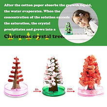 Load image into Gallery viewer, Paper Tree DIY Magic Growing Crystal Christmas Tree Funny Educational Toy Novelty Xmas Gift,Great for Boys and Girls
