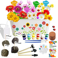 HEYINI Flowers Planting Growing Kit, Gardening Plant and Paint Arts Crafts Sets for Kids Contains 4 Different Flowers, Craft Kit DIY Plants and Paint Tools for Girls Boys Over 3 Years Old, White