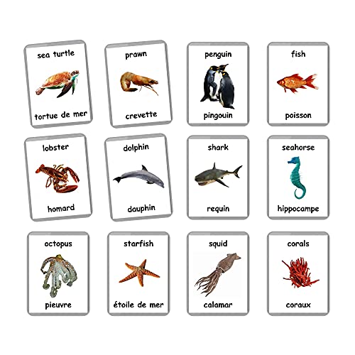 Sea Animals Flash Cards - 26 Laminated Flashcards | Ocean Animals | Water Animals | Homeschool | Multilingual Flash Cards | Bilingual Flashcards - Choose Your Language (French + English)
