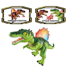 Load image into Gallery viewer, R/C Spinosaurus Dinosaur , Big Action Figure World Toy, Walking Robot. (Green)

