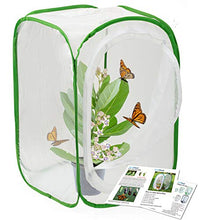 Load image into Gallery viewer, RESTCLOUD Insect and Butterfly Habitat Cage Terrarium Pop-up 24 Inches Tall with Zipper Protection
