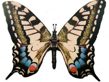 Load image into Gallery viewer, Active Aliforms Moving Butterfly - Swallowtail
