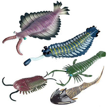 Load image into Gallery viewer, Flormoon Animal Figures 5 pcs Realistic Plastic Cambrian Ancient Organism Set Includes Anomalocaris, Opabinia, etc. Science Project, Learning Educational Toys, Birthday Gift for Kids Toddlers
