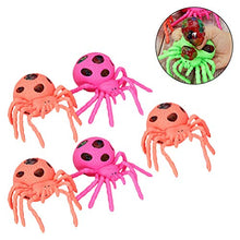 Load image into Gallery viewer, BESPORTBLE 5 Pcs Scarry Spider Toy Durable Halloween Spider Vent Ball Spider Toy Spider Knead Ball for Kid Adult
