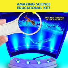 Load image into Gallery viewer, Amazing Ant Habitat W/ LED Light. Enjoy A Magnificent Habitat. Great for Kids &amp; Adults. Evviva Ant Ecosystem W/ Enhanced Blue Gel. Educational &amp; Learning Science Kit. Live Ants Not Included
