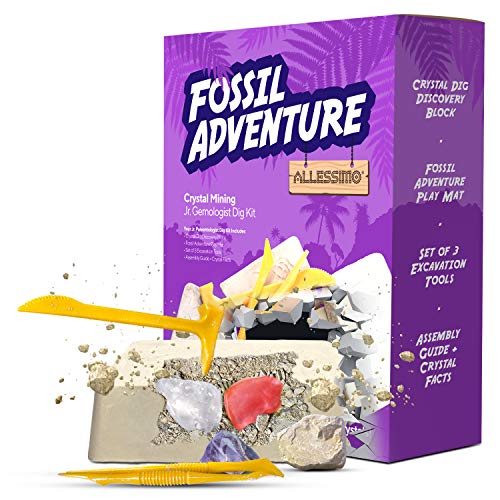 Allessimo Fossil Adventure- Crystal Mining Gemstone Dig Kit, Complete Excavation Geology Science Dig Toy Kits for Kids, Discover Real Crystals, Educational and Fun Learning Adventure for Boys & Girls