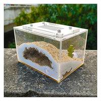 LLNN Insect Villa Acryl Ant Farm DIY Nest, Ant Farm DIY Mini Imitation Original Ecological Gypsum Ant Nest, Great Gift for Kids and Adults 4x2.8x2.4 Inch Festival Birthday Gift