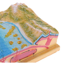 Load image into Gallery viewer, Yiju Geology Science Plate Tectonics Earth Crust Display Model Kit

