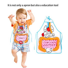 Load image into Gallery viewer, JULYKAI Teaching Apron, 3D Organ Apron, Detachable Pvc+Lint Intellectual For Children To Recognize And Play
