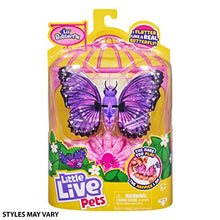 Load image into Gallery viewer, Little Live Pets 26228 Lil Butterfly-Styles May Vary
