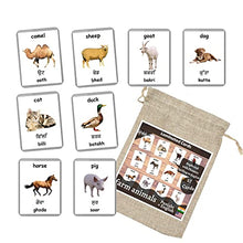Load image into Gallery viewer, Farm Animals Flash Cards - 27 Laminated Flashcards | Homeschool | Montessori Materials | Multilingual Flash Cards | Bilingual Flashcards - Choose Your Language (Punjabi + English)
