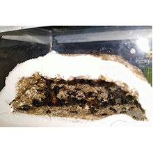 Load image into Gallery viewer, LLNN Insect Villa Acryl Ant Farm DIY Nest, Ant Farm DIY Mini Imitation Original Ecological Gypsum Ant Nest, Great Gift for Kids and Adults 4x2.8x2.4 Inch Festival Birthday Gift
