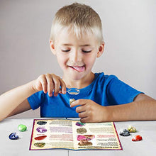 Load image into Gallery viewer, XXTOYS Jumbo Gems Dig Kit - Dig Up 18 Real Gemstones for Kids - Rocks and Minerals, Crystals Mining Science Kits Great Geology Archeology Gift for Boys &amp; Girls Educational STEM Toys
