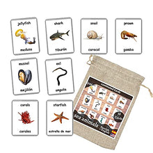 Load image into Gallery viewer, Sea Animals Flash Cards - 26 Laminated Flashcards | Ocean Animals | Water Animals | Homeschool | Multilingual Flash Cards | Bilingual Flashcards - Choose Your Language (Spanish + English)
