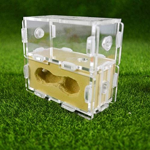 LLNN Insect Villa Acryl Ant Farm DIY Nest, Acrylic Gypsum Ant Nest Ants Farm House Ants Workshop for Insect Supplies Reptile Birthday Gift Festival Birthday Gift (Color : Yellow)