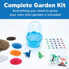 Load image into Gallery viewer, Creativity for Kids Mini Garden: Dinosaur Terrarium - Arts and Crafts for Boys and Girls Ages 6-8+
