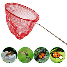 Load image into Gallery viewer, 6 Pack Kids Telescopic Butterfly Nets,Colorful Insect Catching Net Fishing Nets,Outdoor Kids Toy for Catching Fish,Butterfly,Ladybird,Caterpillar,Extendable 34 Inch
