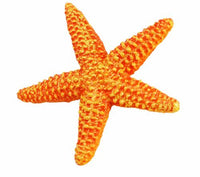 Safari Ltd Wild Safari Sea Life Starfish