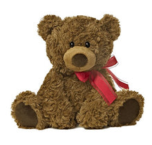 Load image into Gallery viewer, Aurora   Bear   10.5&quot; Coco Bear
