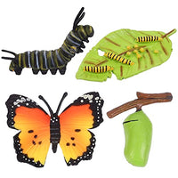 HEMOTON 4pcs Butterfly Life Cycle Stages Figurines Caterpillars to Butterflies Bug Life Cycles Creative Nature Insects Life Cycles Growth Model Science Educational Toys (1628)