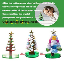 Load image into Gallery viewer, ZhiLoeng Christmas Magic Growing Tree Xmas Gift  for Kids, Great Gift for Boys and Girls
