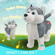 Load image into Gallery viewer, Houwsbaby Crazy Rock &amp; Roll Husky Headbanging Dog Musical Plush Toy Interactive Animated Turning Circle Twerking Stuffed Puppy Gift for Kids Girls Boys, Gray, 10&#39;&#39;
