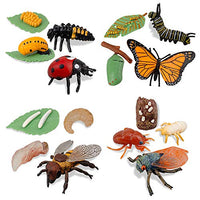 TOYMANY 16PCS Insect Figurines Life Cycle of Monarch Butterfly,Honey Bee,Cicada,Ladybug, Plastic Caterpillars to Butterflies Bug Figures Toy Kit Educational School Project for Kids Toddlers