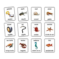 Sea Animals Flash Cards - 26 Laminated Flashcards | Ocean Animals | Water Animals | Homeschool | Multilingual Flash Cards | Bilingual Flashcards - Choose Your Language (Spanish + English)