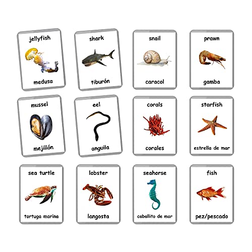 Sea Animals Flash Cards - 26 Laminated Flashcards | Ocean Animals | Water Animals | Homeschool | Multilingual Flash Cards | Bilingual Flashcards - Choose Your Language (Spanish + English)