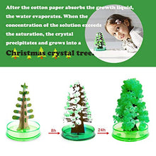 Load image into Gallery viewer, Magic Crystal Growing Christmas Paper Tree, Novelty Children&#39;s Toys Gifts,Magic Bonsai Xmas Stocking Filler Gift,DIY Magic Growing Tree, Your Own Fun Xmas Gift Toy (Green)
