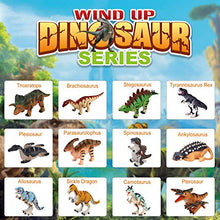 Load image into Gallery viewer, FUN LITTLE TOYS 12 Pieces Dinosaur Wind Up Toy for Kids, Toddler Bath Pool Clockwork Animal Toys Bulk Flip Walking Jumping, Dino Theme Birthday Christmas Party Supplies Favors Gifts Stocking Stuffers
