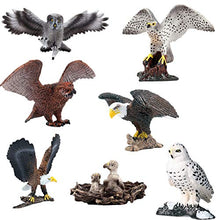 Load image into Gallery viewer, Birds Model Winged Owl Peregrine Falcon Eagle Snow Owl Animal Figure Suitable for Animal Zoo Dinosaur World Scene Plastic Model Decor Collector Toy Gift
