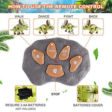 Load image into Gallery viewer, Remote Control Dinosaur Toys for Kids 5-7 with Dance/Fight Mode and 12 Dinosaur Figures Toys, RC Triceratops Walking Dino Toys for 3 4 5 6 7+ Years Old
