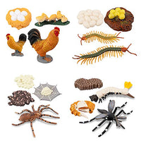 TOYMANY 16PCS Life Cycle of Chicken Hen Centipede Spider Mosquito Farm Animals Figure, Plastic Food Chain Animal Figurines Toy Kit Educational School Project for Kids Toddlers